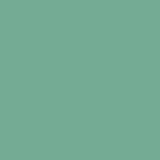RM 4021 Aqua