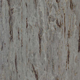 RM 8105 Moon Dust