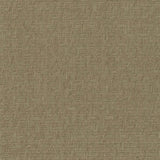 Natural Cane Decorative Sheet – 18 ft x 3 ft | MCA-TSC-127