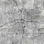 Urban Veins (Black and White) Urban wallpaper for office & lounge interiors | MWA-LWZ-317