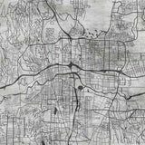 Urban Veins (Black and White) Urban wallpaper for office & lounge interiors | MWA-LWZ-317