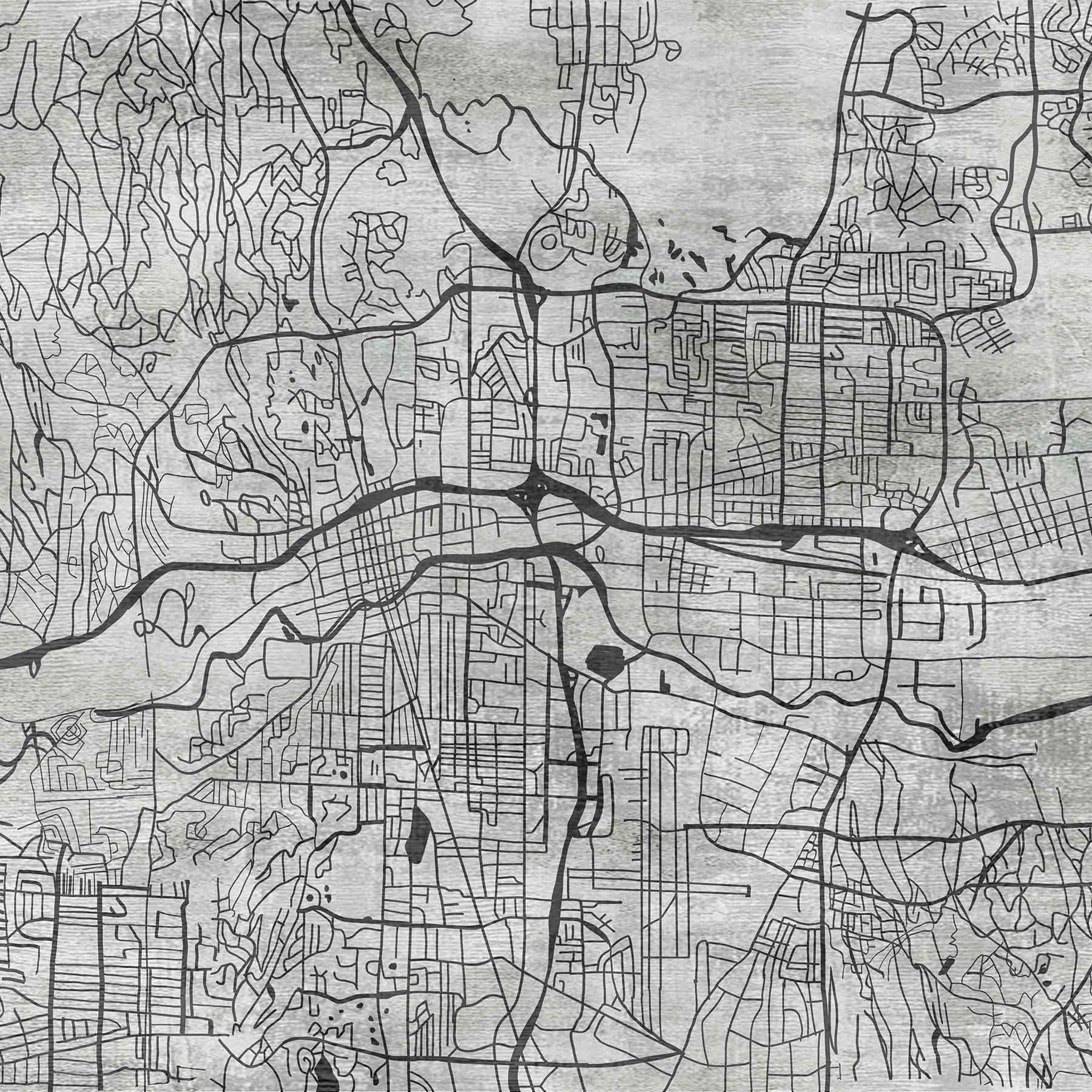 Urban Veins (Black and White) Urban wallpaper for office & lounge interiors | MWA-LWZ-317