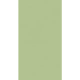 246 - Pista Suede (SUD) Laminate