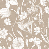 Humming Bird Brown - DG647