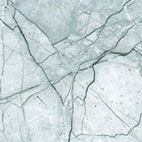 Grey Emperor - DG204