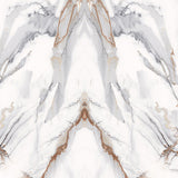 Harmonic Horizon - DG216