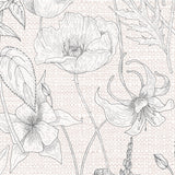 Classic Poppy Pale - DG652