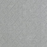 Robust Silver - 8048