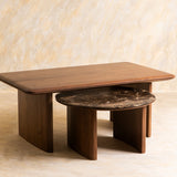 Anish Fusion Nested Coffee Table