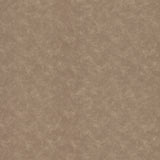 Nutmeg Leather - 9555