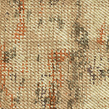 Orchid Elegance - DG818