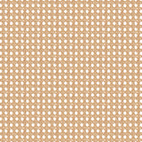 Cross White Cane - DG176