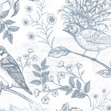 Birds & Blooms - DG653