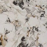 Royal Fossil - DG240