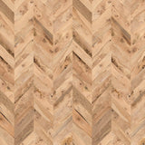 Neutral Katovik Noce - DG213