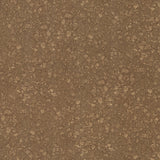 Stellar Bronze - 1671