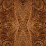 Fumed Acacia - DG311