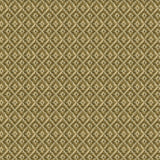 Natural Zigzag Cane - DG169