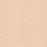 Champagne Leather - 9554