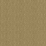 Artisan Weave - DG813