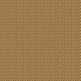 Braided Cane - DG168