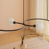 Cici Chandelier Lamp