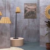 Punkhe Conical Mirror