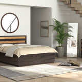 Raas Queen Size Hydraulic Bed with Storage