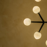Niora Chandelier