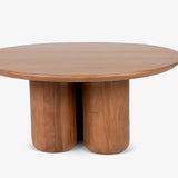 Buda Coffee Table