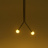 Niora Hanging Lamp